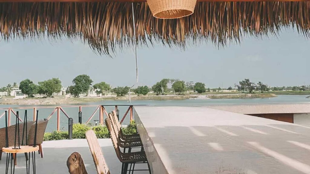 Vistacana | Javifermot Desarrolladora