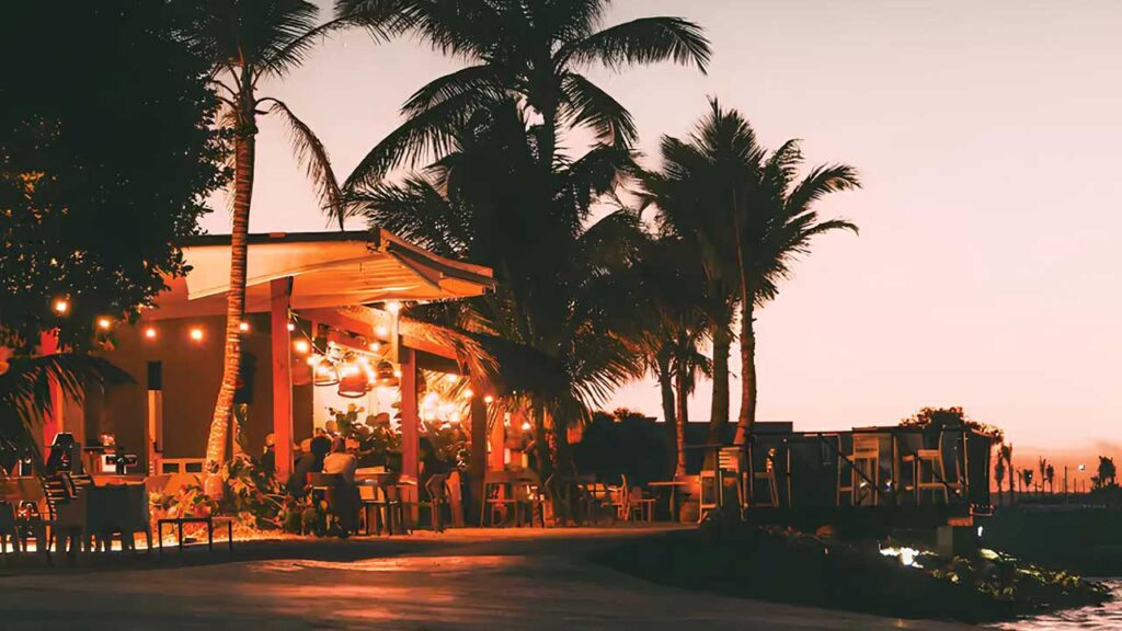 Vistacana | Javifermot Desarrolladora