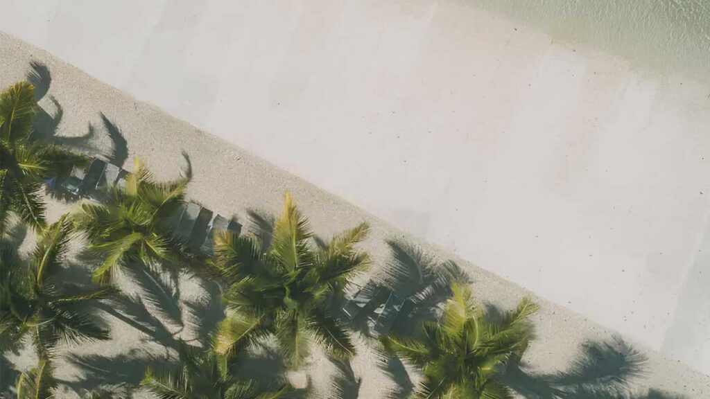 Vistacana | Javifermot Desarrolladora